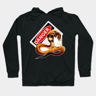 Snake in action Hoodie